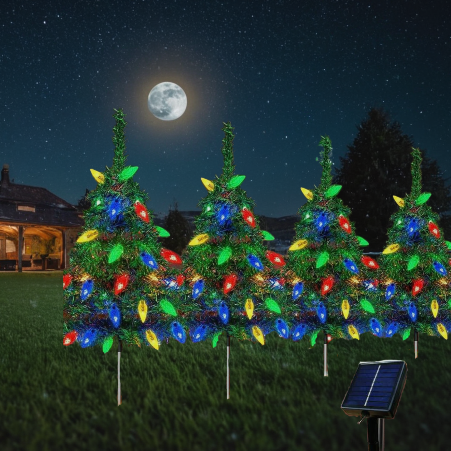 BerryXmas