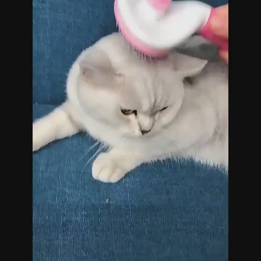 Cepillo removedor de pelo con botón